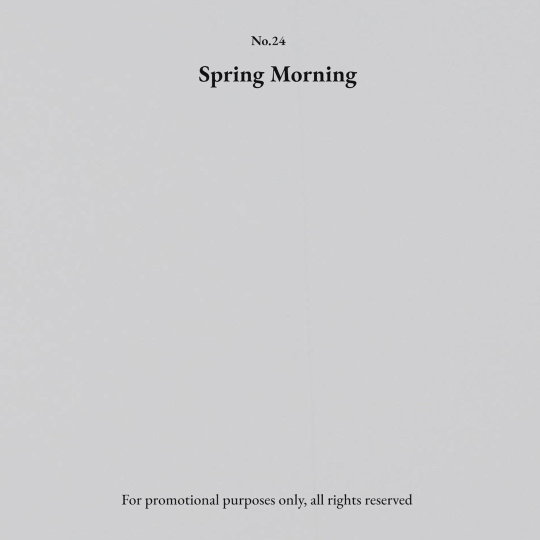 Spring Morning