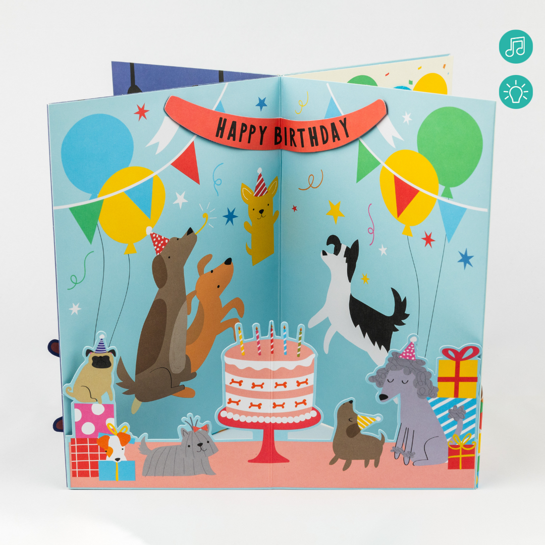 Birthday Bundle