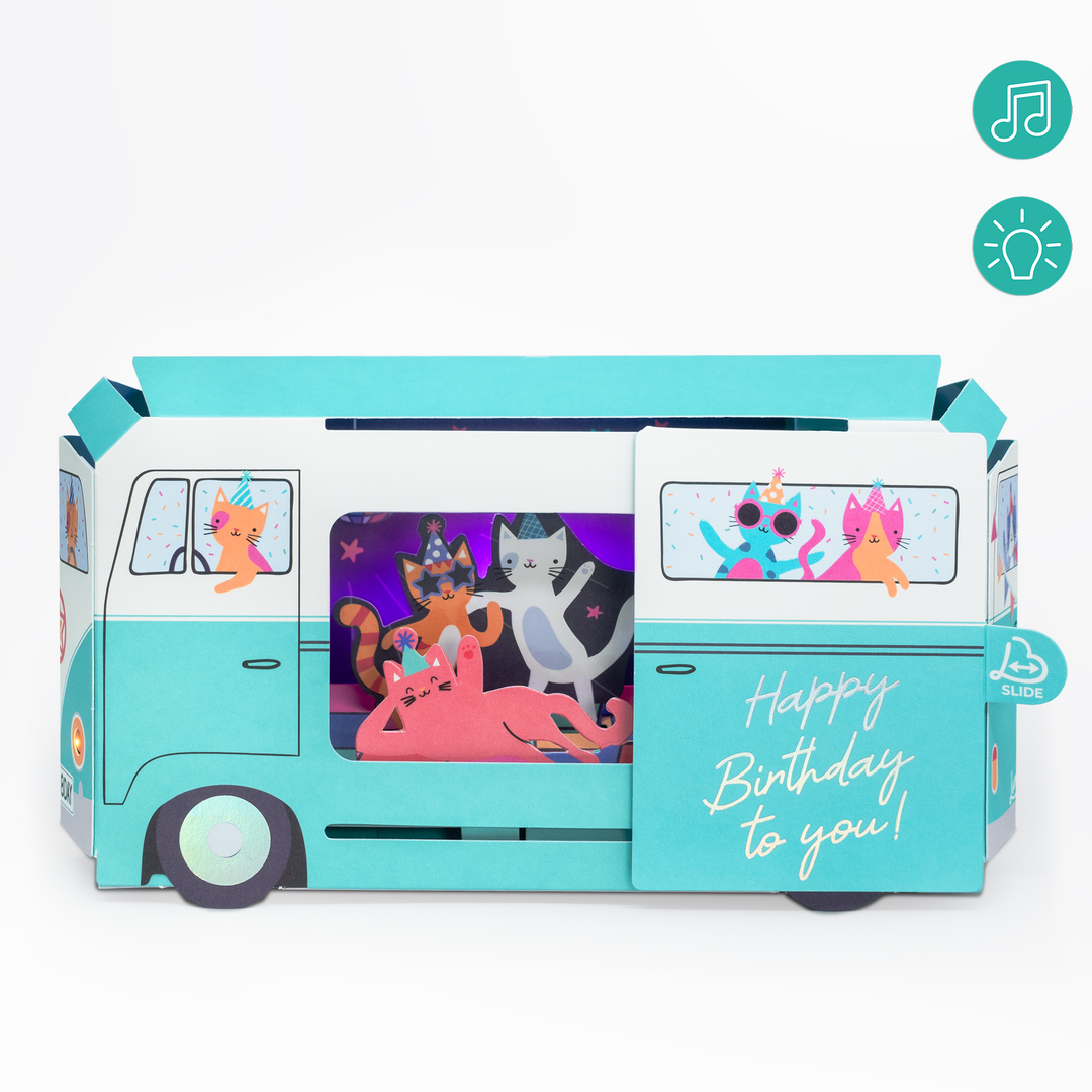 Party Cat Van