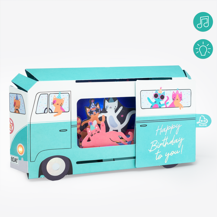 Party Cat Van